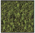 Green Wall-Art Moss Square by Gold Leaf Design Group | Green Wall | Modishstore