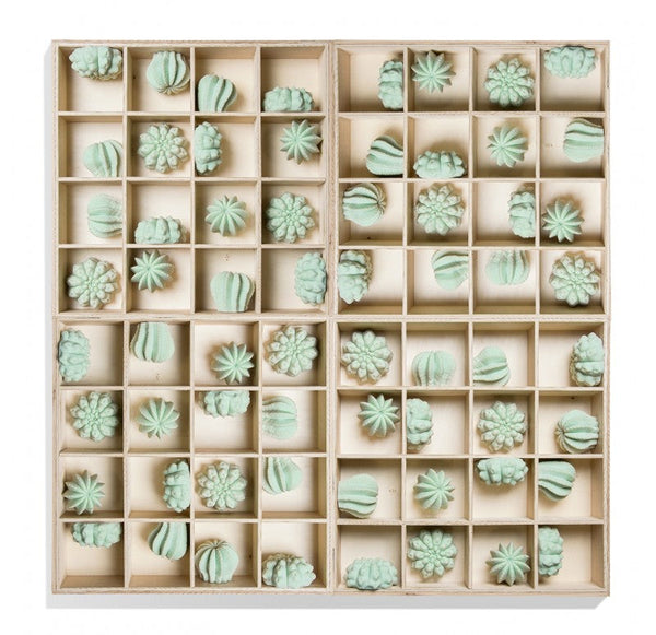 Shadow Box with Cactus Wall Play by Gold Leaf Design Group | Wall Decor | Modishstore-2