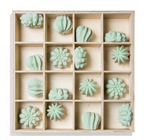 Shadow Box with Cactus Wall Play by Gold Leaf Design Group | Wall Decor | Modishstore