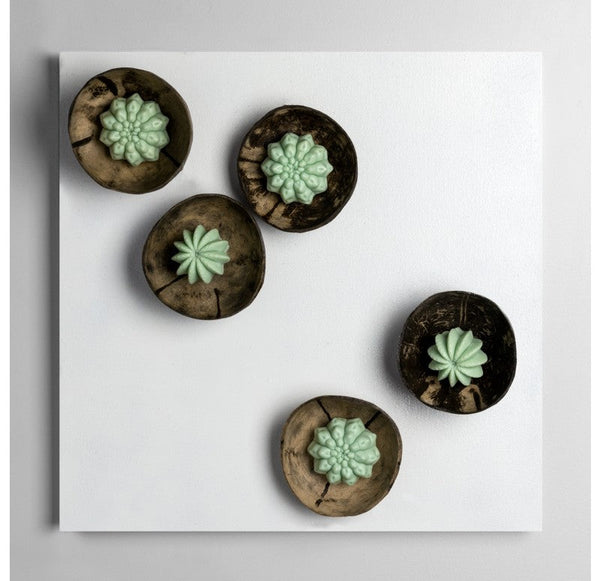 Wall Art with Coconut & Cactus by Gold Leaf Design Group | Wall Decor | Modishstore
