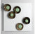 Wall Art with Coconut & Cactus by Gold Leaf Design Group | Wall Decor | Modishstore