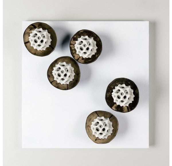 Wall Art w/ Coconut & Pollen by Gold Leaf Design Group | Wall Decor | Modishstore