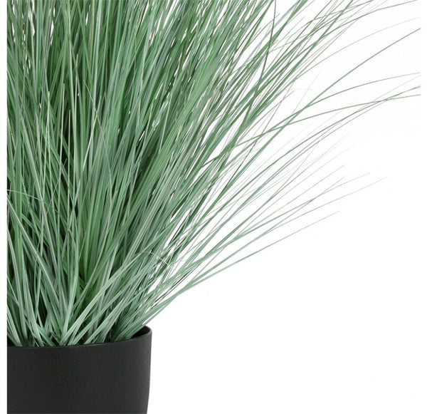 Grass, Potted Bear, 45