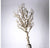 Bonsai Topiary, 55�L by Gold Leaf Design Group | Botanicals | Modishstore