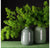 Prairie Vase, 9.4