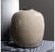 Ovalis Vase, 9.5