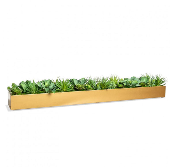 Desert Echeveria in Linear Planter by Gold Leaf Design Group | Planters, Troughs & Cachepots | Modishstore