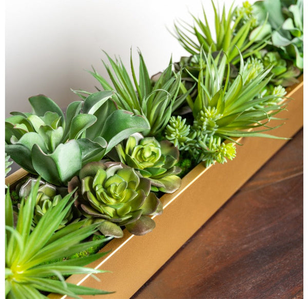 Desert Echeveria in Linear Planter by Gold Leaf Design Group | Planters, Troughs & Cachepots | Modishstore-4