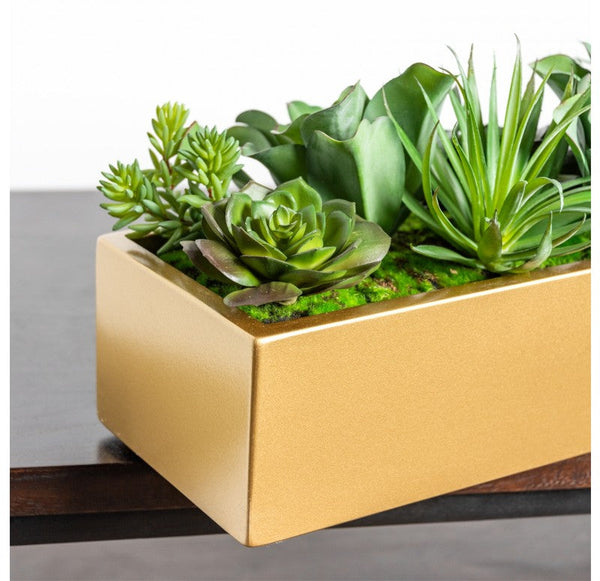 Desert Echeveria in Linear Planter by Gold Leaf Design Group | Planters, Troughs & Cachepots | Modishstore-5