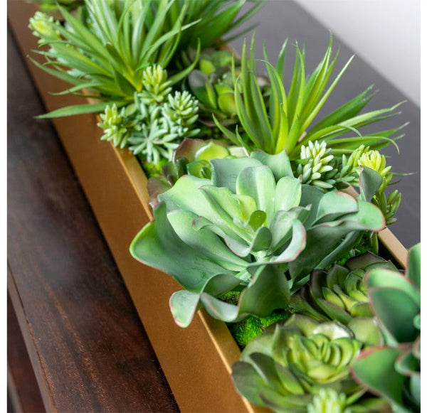 Desert Echeveria in Linear Planter by Gold Leaf Design Group | Planters, Troughs & Cachepots | Modishstore-3