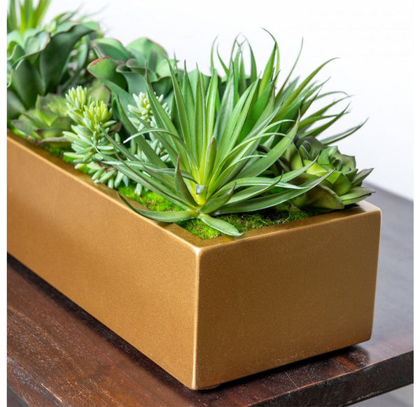 Desert Echeveria in Linear Planter by Gold Leaf Design Group | Planters, Troughs & Cachepots | Modishstore-6