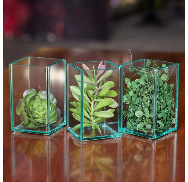 Glass Terrarium: Angel Vine Set of 4 by Gold Leaf Design Group | Glass Terrariums | Modishstore-2