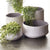 Frasier Low Pots-4 Pcs/Set of 2 by Napa Home & Garden