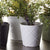 Erin Pots - 4Pcs/Set of 2 By Napa Home & Garden