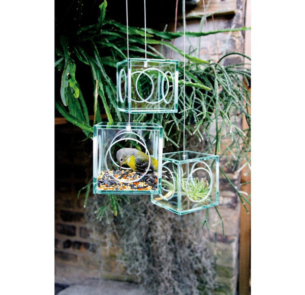 Gold Leaf Design Group Hanging Glass Cube - Set of 4 | Outdoor Decor | Modishstore