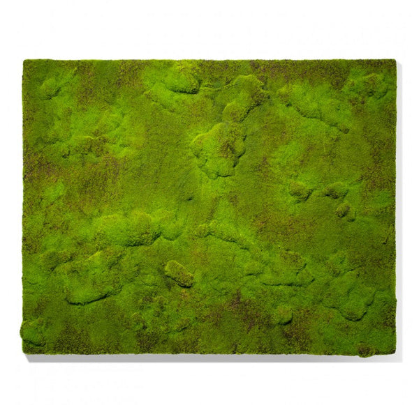 Gold Leaf Design Group's Green Wall, 'New Moss' | Green Wall | Modishstore