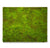Gold Leaf Design Group's Green Wall, 'New Moss' | Green Wall | Modishstore
