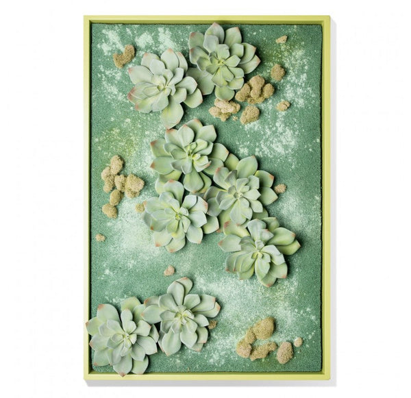 Green Wall, 'Grapto Ghost' by Gold Leaf Design Group | Green Wall | Modishstore