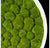 Green Wall, 'Bun Moss', Round by Gold Leaf Design Group | Green Wall | Modishstore-4