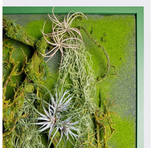 Green Wall, 'Rainforest' by Gold Leaf Design Group | Green Wall | Modishstore-3