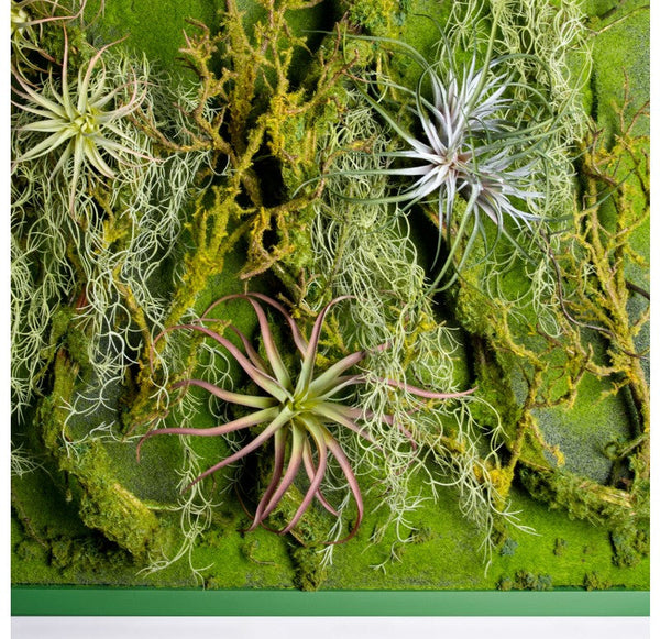 Green Wall, 'Rainforest' by Gold Leaf Design Group | Green Wall | Modishstore-4