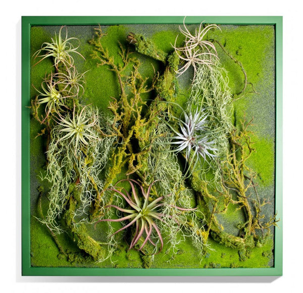 Green Wall, 'Rainforest' by Gold Leaf Design Group | Green Wall | Modishstore