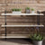 Kalia Three Shelf by Napa Home and Garden