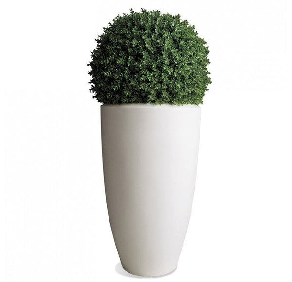 Boxwood Ball in Barrel Planter, Satin White by Gold Leaf Design Group | Planters, Troughs & Cachepots | Modishstore-2