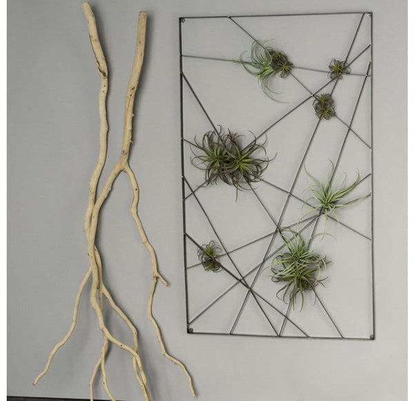Gold Leaf Design Group Intersect Wall Art With Tillandsia Mix | Wall Decor | Modishstore