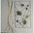 Gold Leaf Design Group Intersect Wall Art With Tillandsia Mix | Wall Decor | Modishstore
