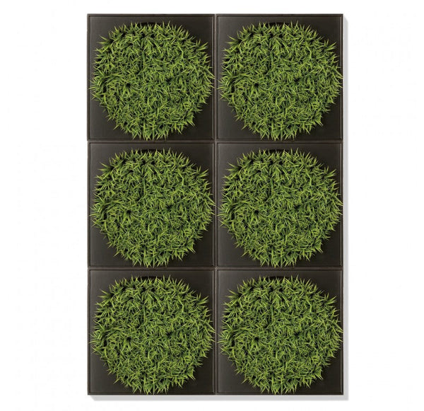 Mini Green Wall, Curly Grass by Gold Leaf Design Group | Green Wall | Modishstore-2