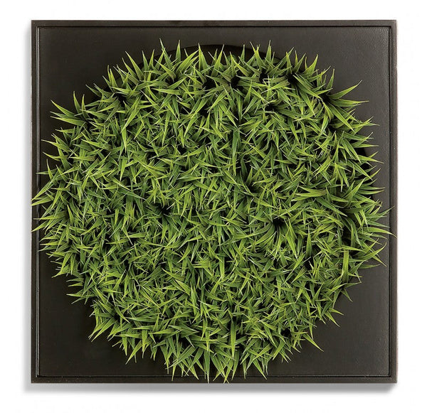 Mini Green Wall, Curly Grass by Gold Leaf Design Group | Green Wall | Modishstore