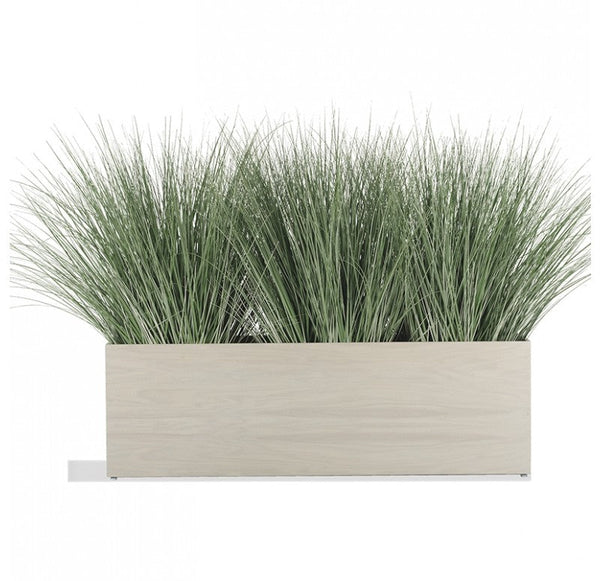 Grass: Bear Grass in Whitewash Linear Planter by Gold Leaf Design Group | Planters, Troughs & Cachepots | Modishstore