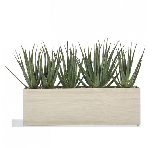 Aloe in Linear Planter, Whitewash by Gold Leaf Design Group | Planters, Troughs & Cachepots | Modishstore