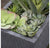 Mediterranean Mix in Drift Planters, Set of 2 by Gold Leaf Design Group | Planters, Troughs & Cachepots | Modishstore-2