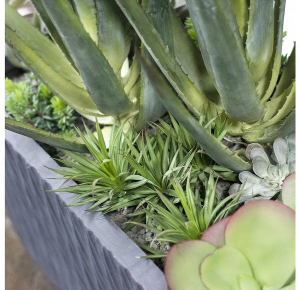 Mediterranean Mix in Drift Planters, Set of 2 by Gold Leaf Design Group | Planters, Troughs & Cachepots | Modishstore-3