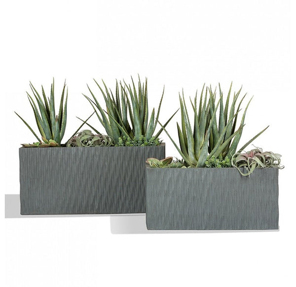 Mediterranean Mix in Drift Planters, Set of 2 by Gold Leaf Design Group | Planters, Troughs & Cachepots | Modishstore