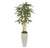 Bamboo Tree, Unpotted in Fiberglass Pia Planter by Gold Leaf Design Group | Planters, Troughs & Cachepots | Modishstore