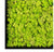 Green Wall, Reindeer Moss, Lime by Gold Leaf Design Group | Green Wall | Modishstore-3