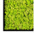 Green Wall, Reindeer Moss, Lime by Gold Leaf Design Group | Green Wall | Modishstore-3