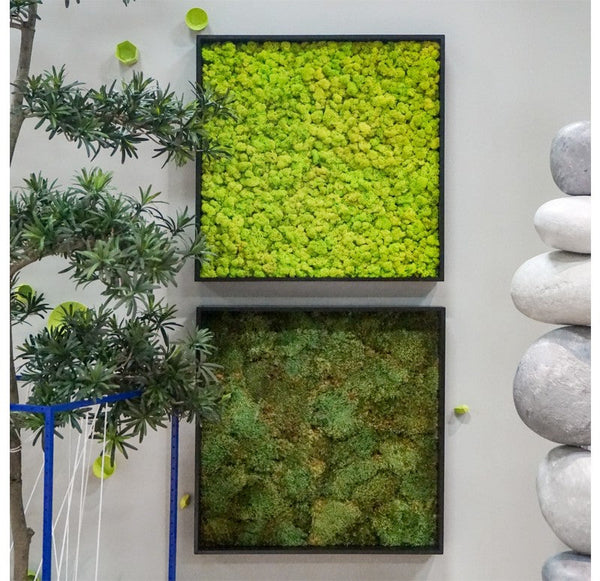Green Wall, Reindeer Moss, Lime by Gold Leaf Design Group | Green Wall | Modishstore