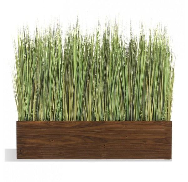 Mixed Grasses in Linear Wood Planter by Gold Leaf Design Group | Planters, Troughs & Cachepots | Modishstore-3