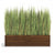 Mixed Grasses in Linear Wood Planter by Gold Leaf Design Group | Planters, Troughs & Cachepots | Modishstore-3