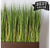 Mixed Grasses in Linear Wood Planter by Gold Leaf Design Group | Planters, Troughs & Cachepots | Modishstore