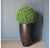Boxwood Ball in Wood Grain Barrel Planter, 30