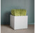 Grass: Japanese Grass in Fiberglass Cube by Gold Leaf Design Group | Botanicals | Modishstore