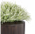 Grass: Zebra Grass in Barrel Planter, Wood Grain, LG by Gold Leaf Design Group | Planters, Troughs & Cachepots | Modishstore-2