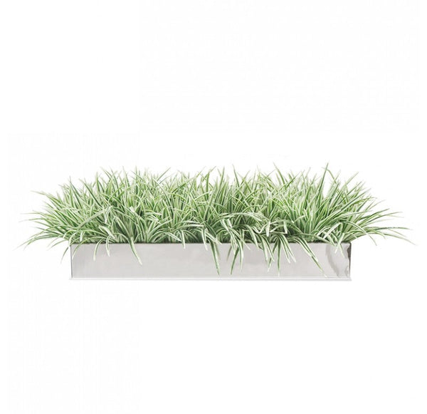 Stainless Steel Table Planter, Zebra Grass by Gold Leaf Design Group | Planters, Troughs & Cachepots | Modishstore-2
