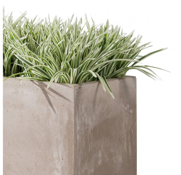 Grass: Zebra Grass in Urbano Rectangle Planter, SM by Gold Leaf Design Group | Planters, Troughs & Cachepots | Modishstore-3