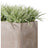 Grass: Zebra Grass in Urbano Rectangle Planter, SM by Gold Leaf Design Group | Planters, Troughs & Cachepots | Modishstore-3